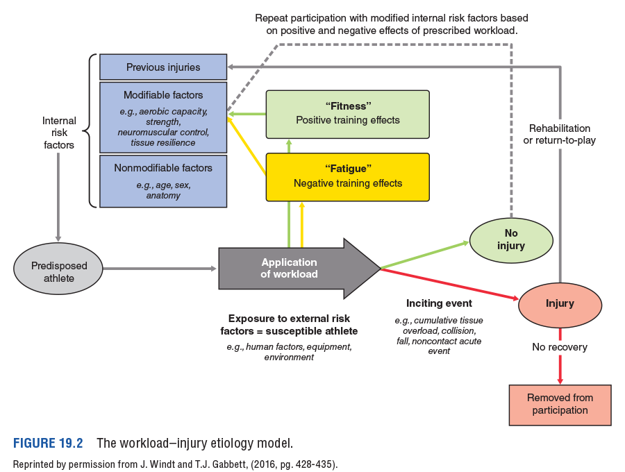 Figure 19.2 The workload–injury etiology model. Reprinted by permission from J. Windt and T.J. Gabbett, (2016, pg. 428-435).