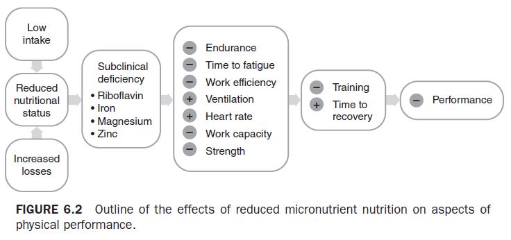 Figure 6.2 Outline of the effects of reduced micronutrient nutrition on aspects of physical performance.