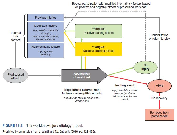 The workload-injury etiology model. This walks users through the workload effects on subsequent injury risk, starting with internal risk factors and leading to the possible outcomes of workload on the athlete.