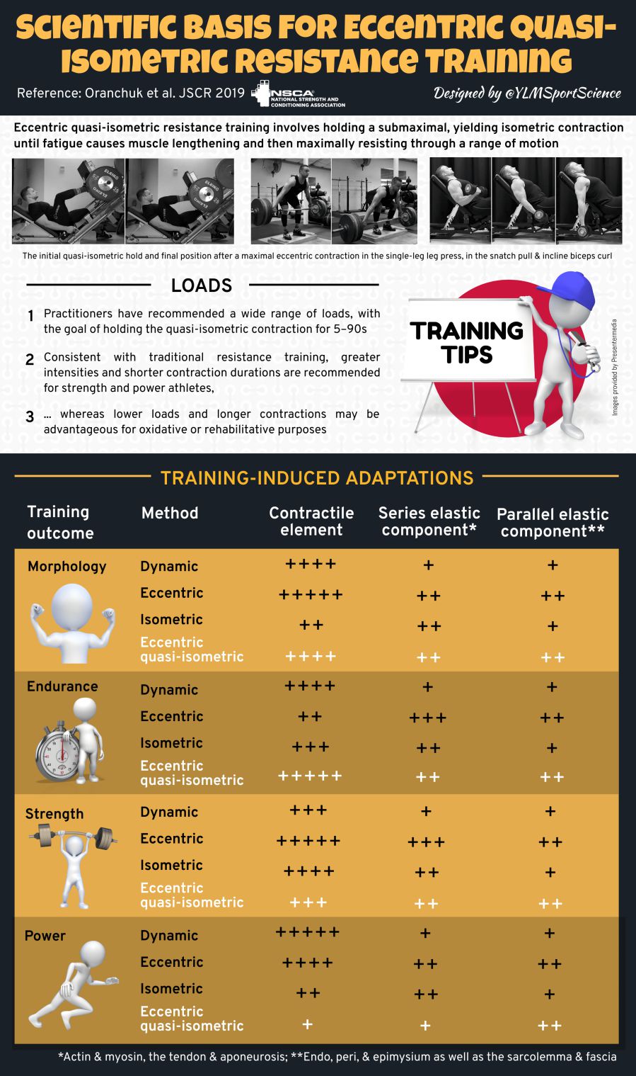 This infographic briefly reviews the application and training adaptations of eccentric quasi-isometric resistance training.