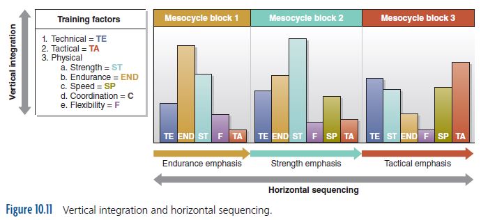 Figure 10.11 Vertical integration and horizontal sequencing.