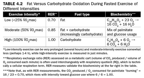 Nsca Body Fat Percentage Charts