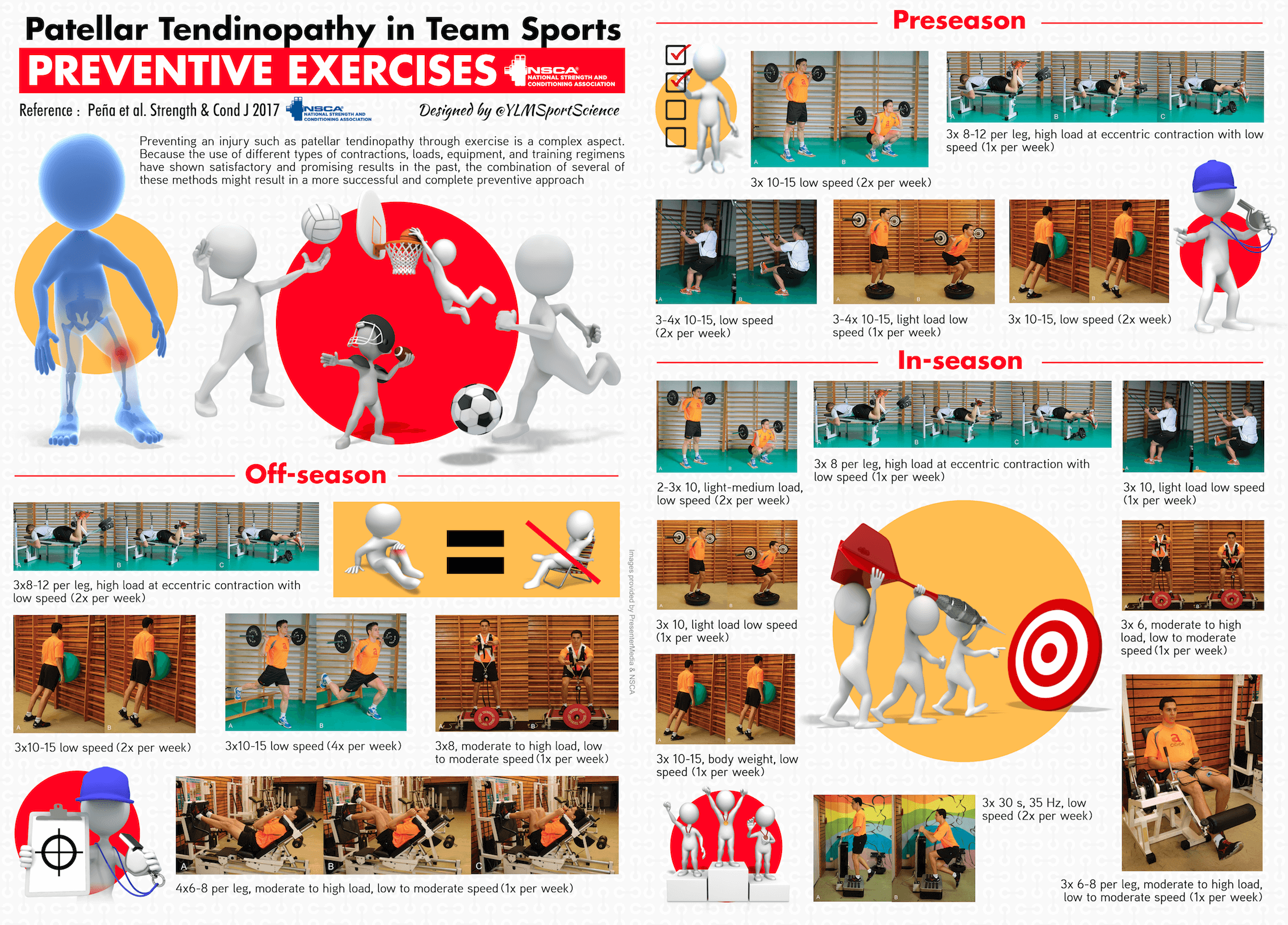 Patellar Tendinopathy in Team Sports