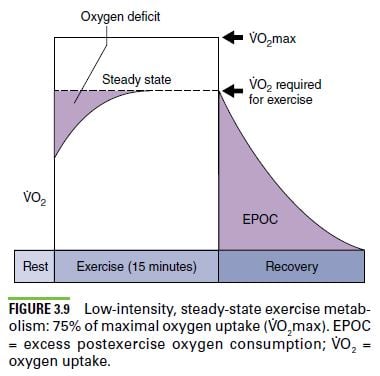 Oxygen Uptake And The Aerobic And Anaerobic Contributions To Exercise