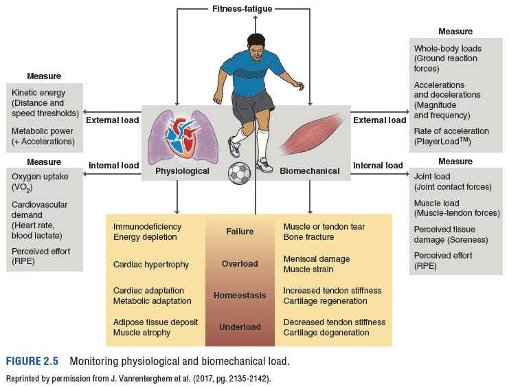 Figure 2.5 Monitoring physiological and biomechanical load. This figure depicts physiological and biomechanical, internal and external load considerations and measures of each.