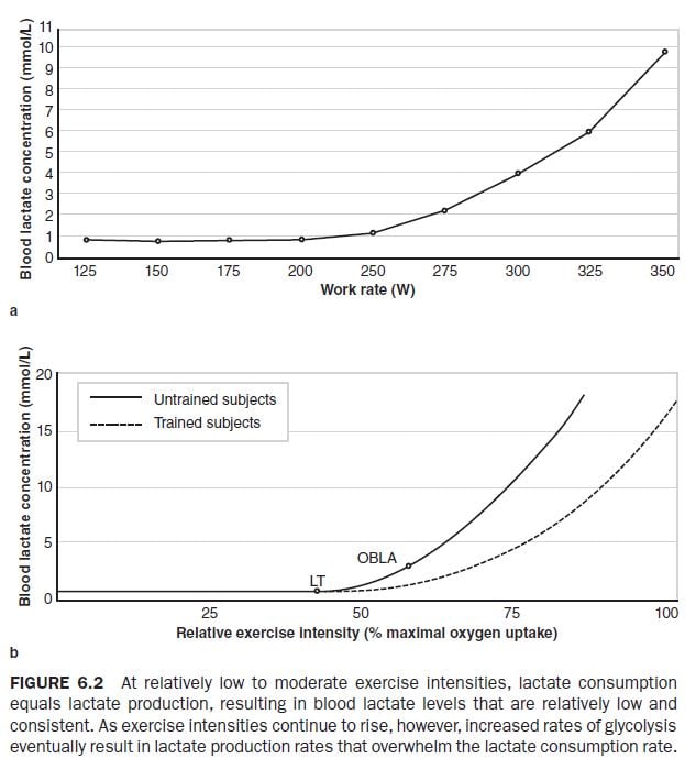 Figure 6.2 At relatively low to moderate exercise intensities, lactate consumption equals lactate production, resulting in blood lactate levels that are relatively low and consistent.  As exercise intensities continue to rise, however, increased rates of glycolysis eventually result in lactate production rates that overwhelm the lactate consumption rate.