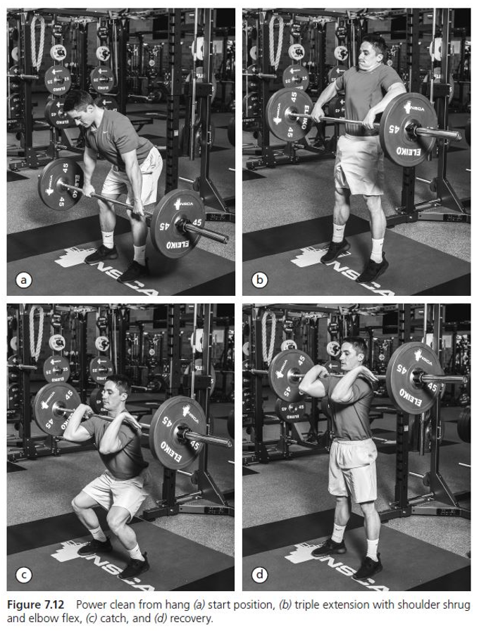 Power clean from hang (a) start position, (b) triple extension with shoulder shrug and elbow flex, (c) catch, and (d) recovery.