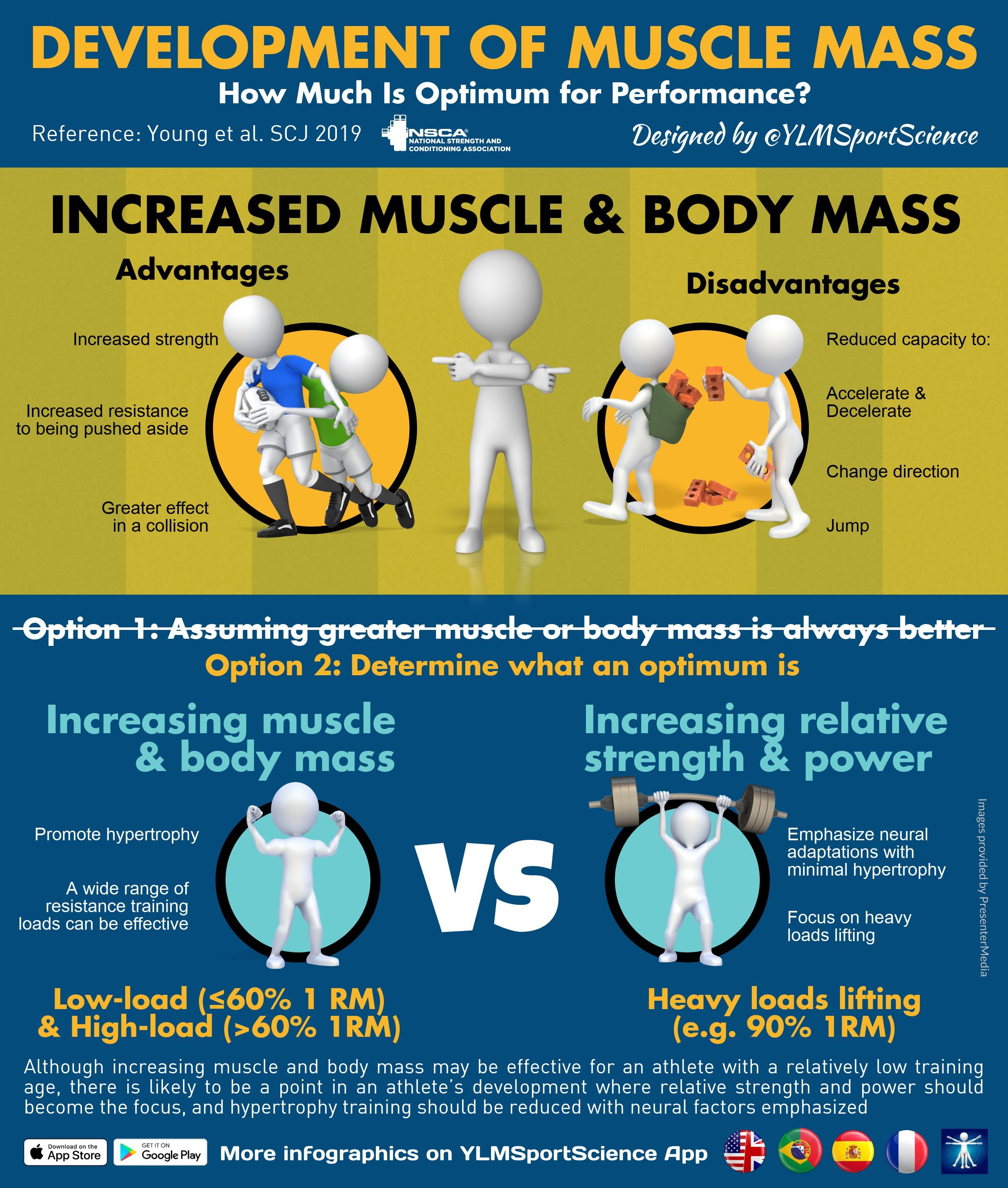 Muscle mass development