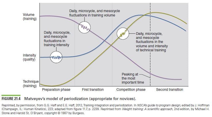 FIGURE 21.4 Matveyev’s model of periodization (appropriate for novices).