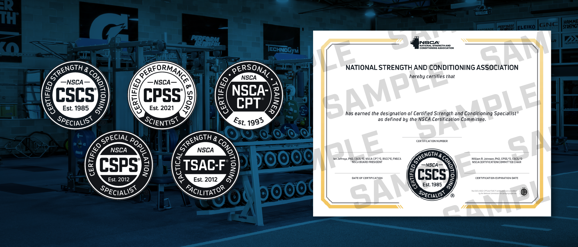 Newly Certified Web Page_Digital Cert and Badge_1920x820.png