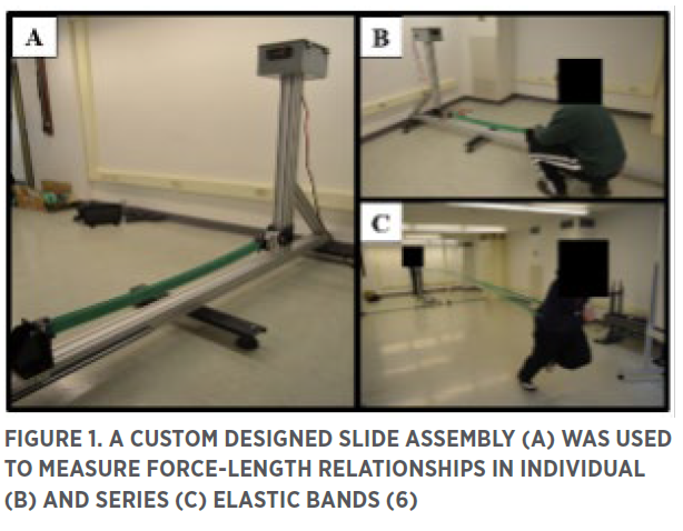 NSCA Coach 12.4.1 Image 1.png